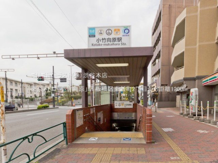 ���ӊ� �������g���u���|�����v�w �B�e��(2021-03-30) 1200m