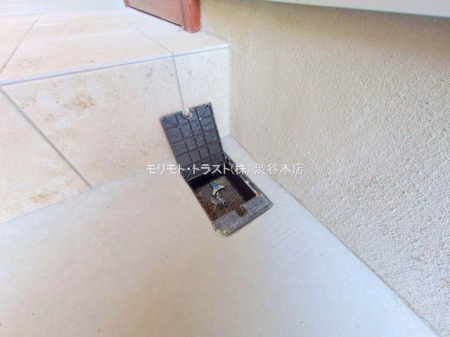 ���n�O�ώʐ^ �B�e��(2025-11-14 00:00:00)