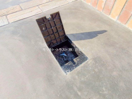 ���n�O�ώʐ^ �B�e��(2025-11-14 00:00:00)