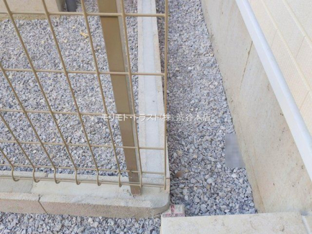 ���n�O�ώʐ^ �B�e��(2025-11-14 00:00:00)