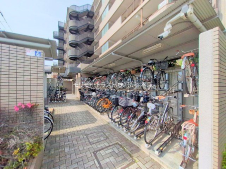 ���n�O�ώʐ^ �B�e��(2025-05-29 00:00:00)