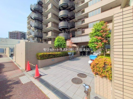 �G���g�����X �B�e��(2025-05-29)