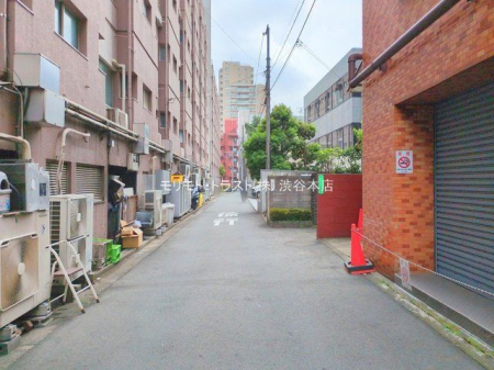 ���n�O�ώʐ^ �B�e��(2025-06-09 00:00:00)