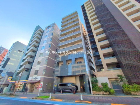 ���n�O�ώʐ^ �B�e��(2025-11-17)