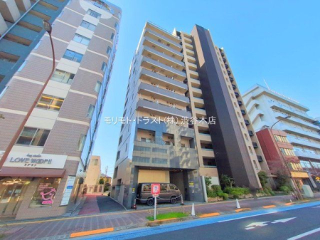 ���n�O�ώʐ^ �B�e��(2025-11-17)