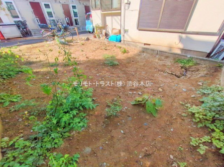 ���n�y�n�ʐ^ �B�e��(2025-11-27 00:00:00)