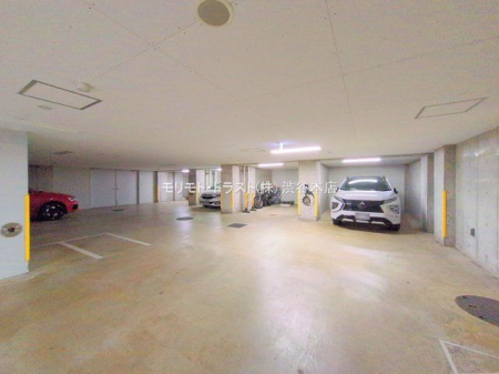 ���n�O�ώʐ^ �B�e��(2025-12-08 00:00:00)