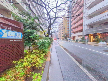 ���n�O�ώʐ^ �B�e��(2025-12-24 00:00:00)