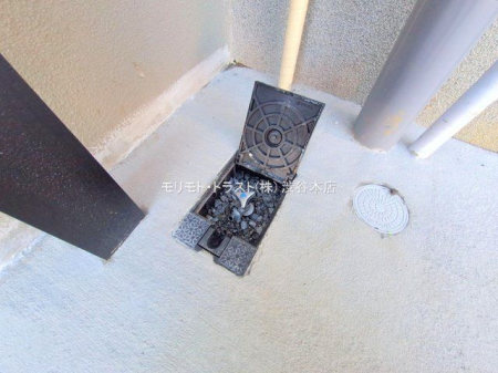 ���n�O�ώʐ^ �B�e��(2025-12-26 00:00:00)