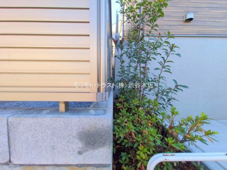 ���n�O�ώʐ^ �B�e��(2025-12-26 00:00:00)