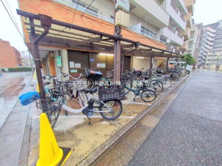 ���n�O�ώʐ^ �B�e��(2025-12-24 00:00:00)