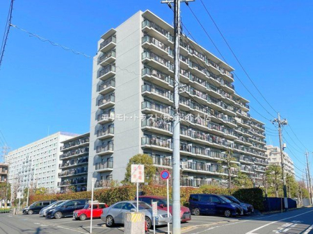 ���n�O�ώʐ^ �B�e��(2024-01-12 00:00:00)