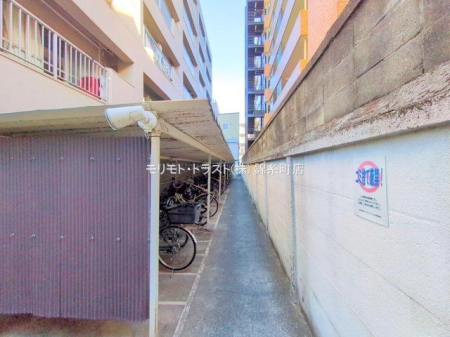 ���n�O�ώʐ^ �B�e��(2025-12-10 00:00:00)