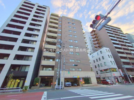 ���n�O�ώʐ^ �B�e��(2025-12-16 00:00:00)