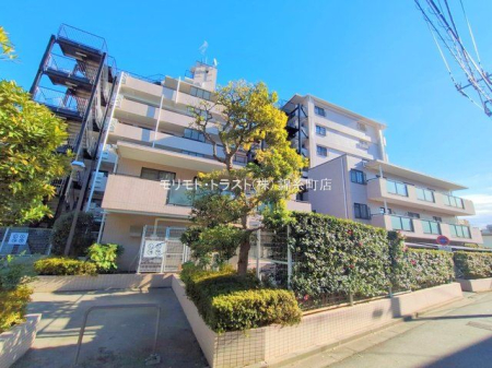 ���n�O�ώʐ^ �B�e��(2025-12-18)