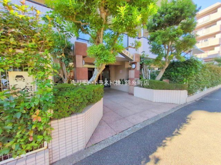 �G���g�����X �B�e��(2025-12-18)