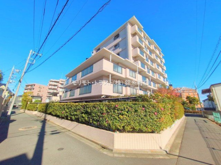 ���n�O�ώʐ^ �B�e��(2025-12-18 00:00:00)