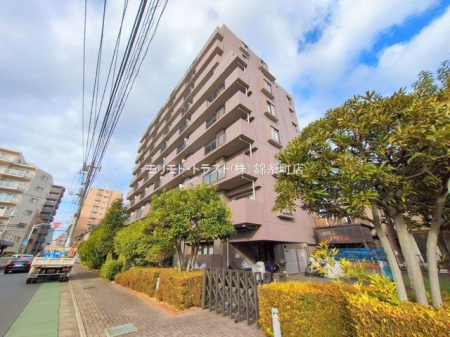 ���n�O�ώʐ^ �B�e��(2025-12-22 00:00:00)