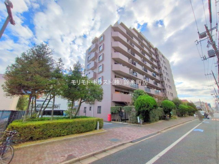 ���n�O�ώʐ^ �B�e��(2025-12-22)