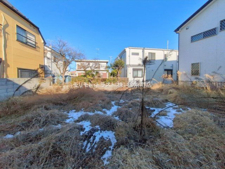 ���n�y�n�ʐ^ �B�e��(2026-01-06)