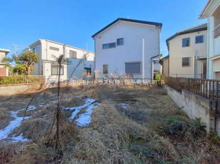 ���n�y�n�ʐ^ �B�e��(2026-01-06 00:00:00)