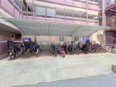 ���n�O�ώʐ^ �B�e��(2025-08-27 00:00:00)