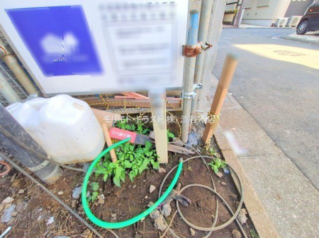 ���n�O�ώʐ^ �B�e��(2025-12-08 00:00:00)