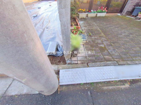 ���n�y�n�ʐ^ �B�e��(2025-12-26 00:00:00)