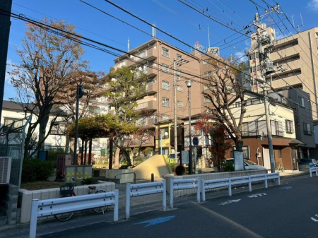 ���̑� �ڂ̑O�̌�����]�ފJ���I�ȃ��P�[�V�����B�l�G�̈ڂ낢���߂��Ŋ�������S�n�悢�Z���ł��B