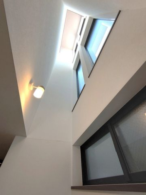 ���̑����� ������