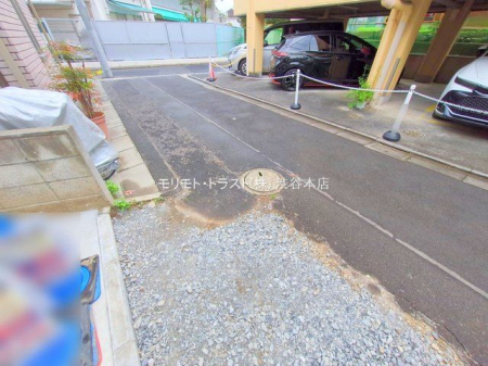 ���n�O�ώʐ^ �B�e��(2025-11-18 00:00:00)