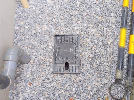 ���n�O�ώʐ^ �B�e��(2025-11-18 00:00:00)