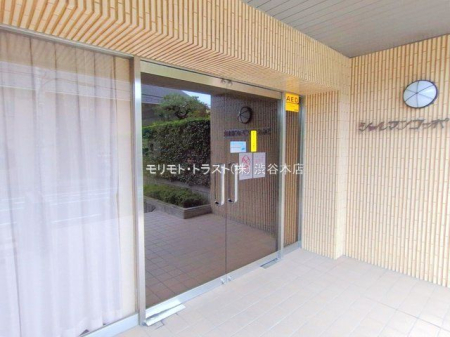 �G���g�����X �B�e��(2025-11-13 00:00:00)