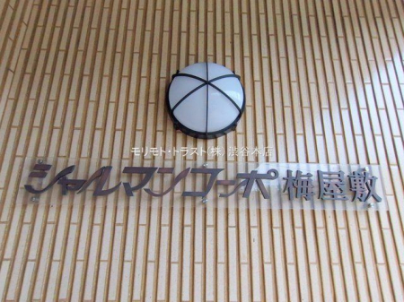 ���n�O�ώʐ^ �B�e��(2025-11-13 00:00:00)