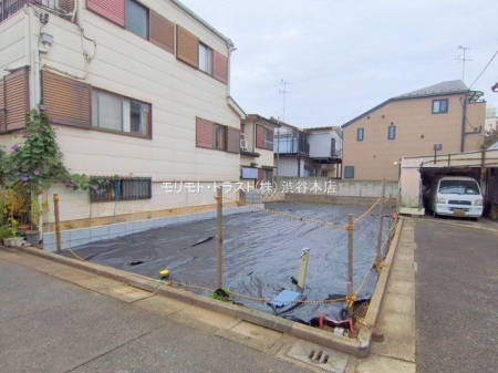 ���n�y�n�ʐ^ �B�e��(2025-11-13)