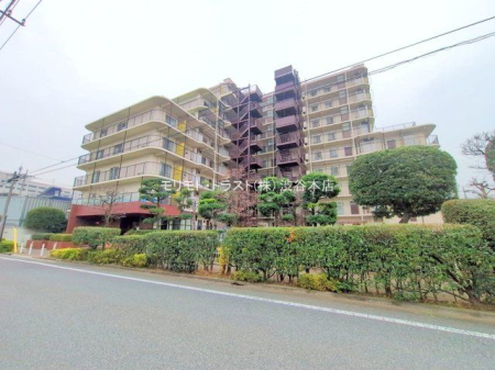 ���n�O�ώʐ^ �B�e��(2025-12-03)