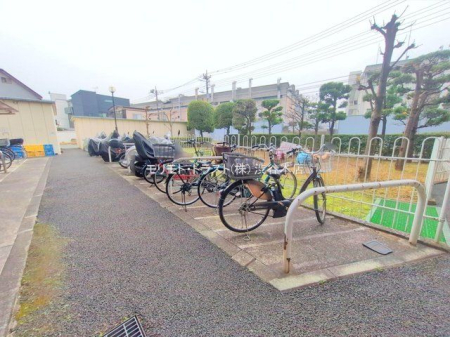 ���n�O�ώʐ^ �B�e��(2025-12-03 00:00:00)