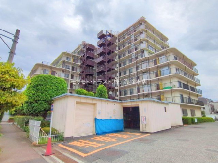 ���n�O�ώʐ^ �B�e��(2025-08-28 00:00:00)