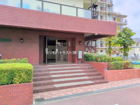 �G���g�����X �B�e��(2025-08-28 00:00:00)