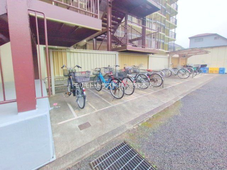 ���n�O�ώʐ^ �B�e��(2025-12-03 00:00:00)