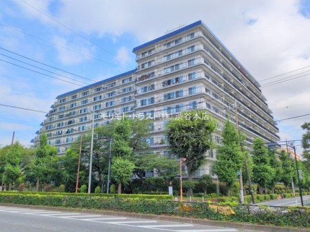 ���n�O�ώʐ^ �B�e��(2025-06-27 00:00:00)