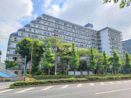 ���n�O�ώʐ^ �B�e��(2025-06-27 00:00:00)