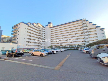 ���n�O�ώʐ^ �B�e��(2025-12-11)