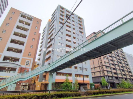 ���n�O�ώʐ^ �B�e��(2025-03-28 00:00:00)