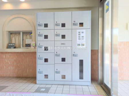 �G���g�����X �B�e��(2025-01-15 00:00:00)