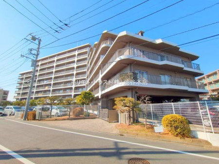 ���n�O�ώʐ^ �B�e��(2025-01-15)