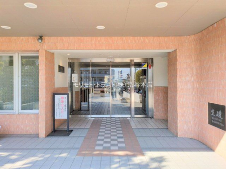 �G���g�����X �B�e��(2025-01-15)