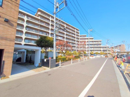 ���n�O�ώʐ^ �B�e��(2025-01-15 00:00:00)