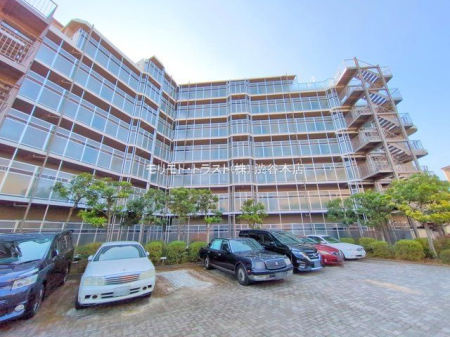 ���n�O�ώʐ^ �B�e��(2025-01-15 00:00:00)