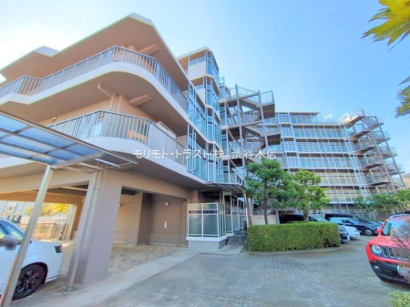 ���n�O�ώʐ^ �B�e��(2025-01-15 00:00:00)